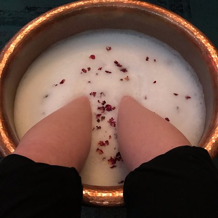Wake Foot Sanctuary