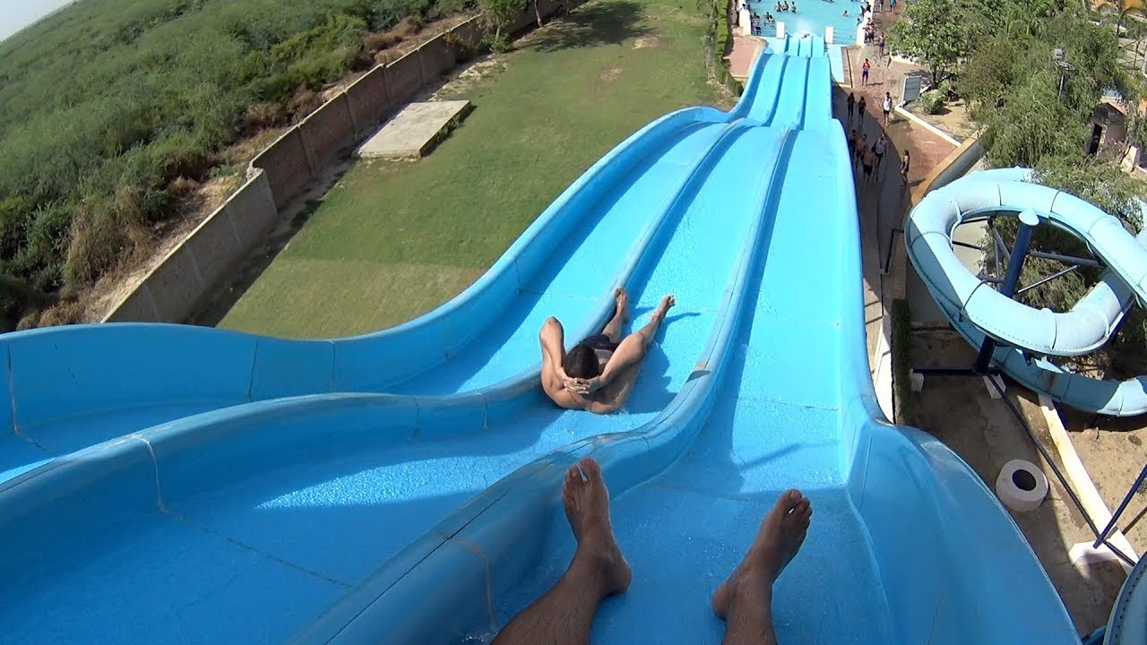 Dolphin Water World