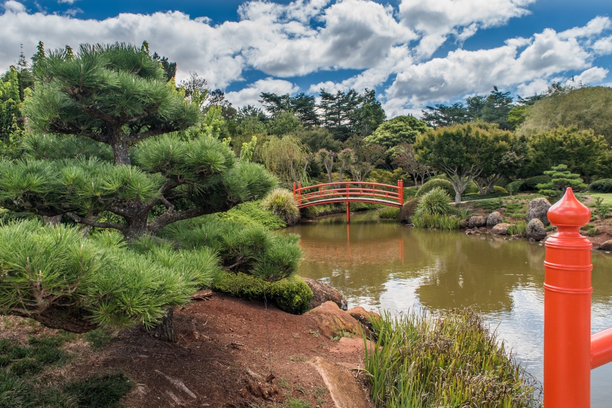 Mitsumata Pond Park