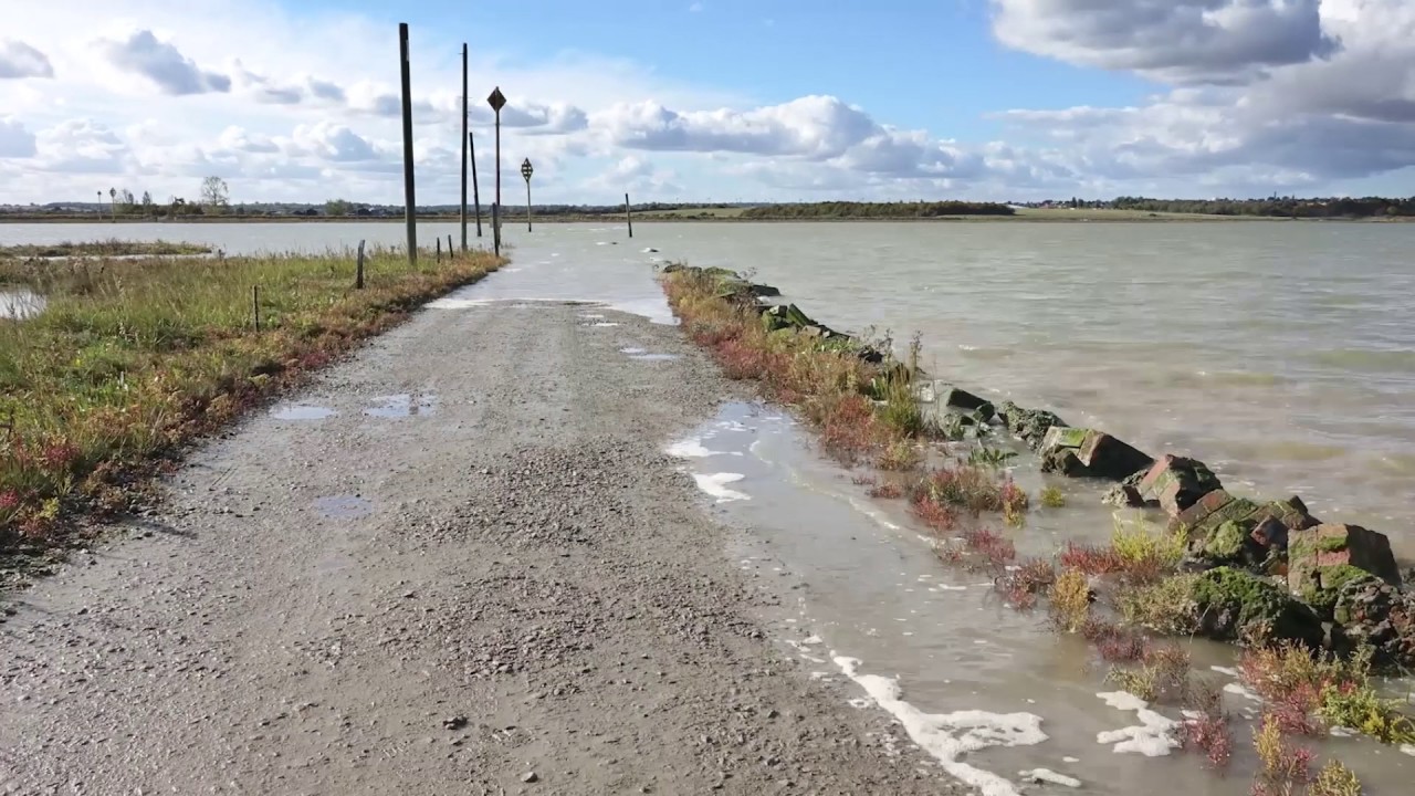 Blackwater Estuary