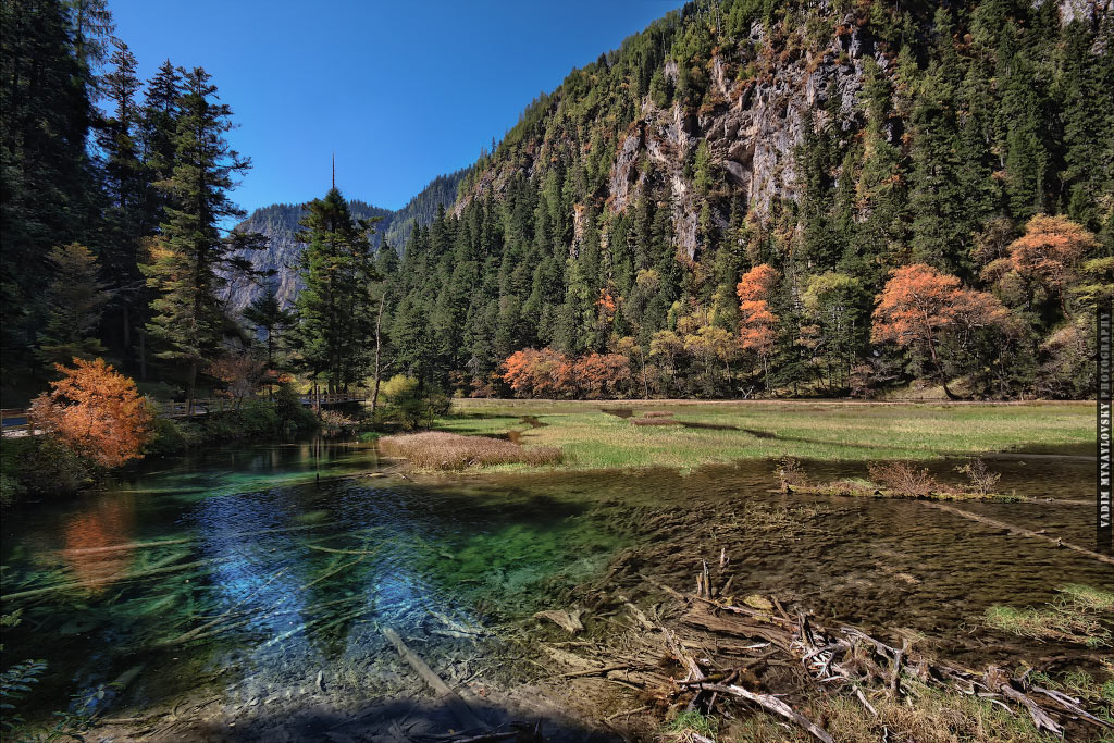 Grass Lake