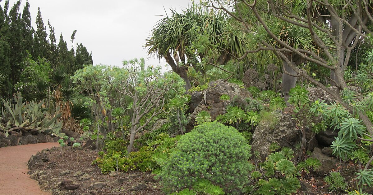 Jardin Botanico Viera & Clavijo