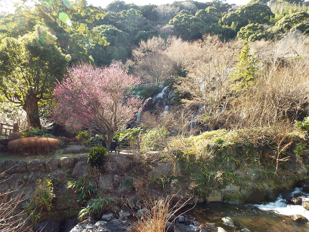 Atami Plum Garden
