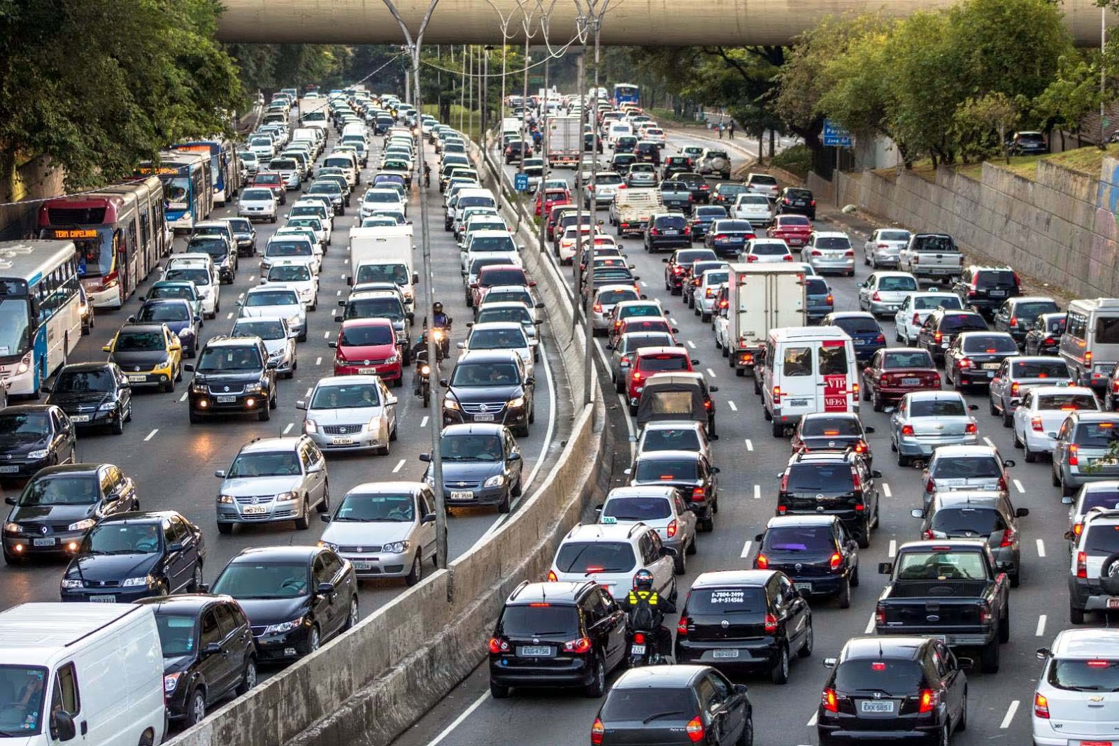 Traffic Rentals