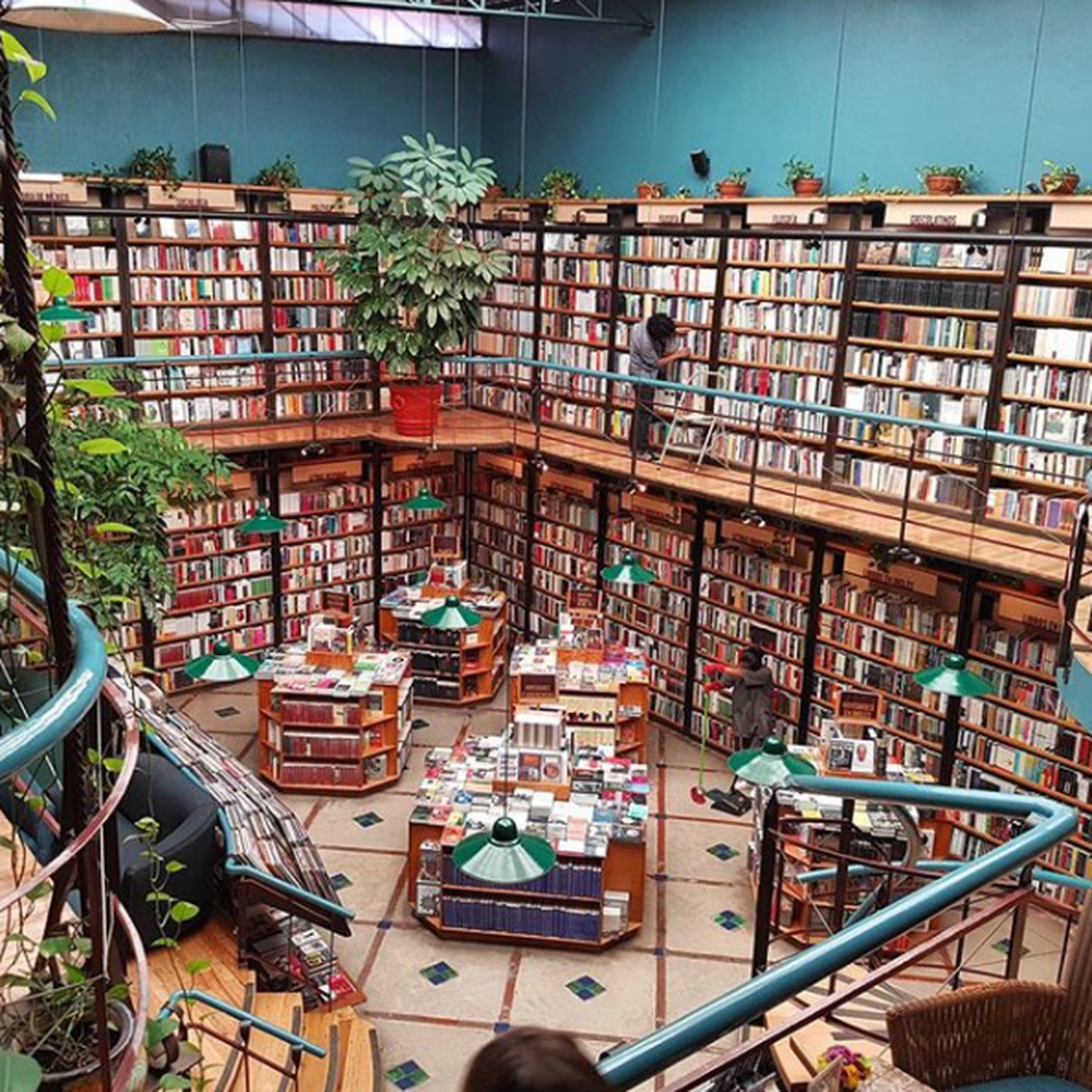 Broad-Leaved Forest Bookstore