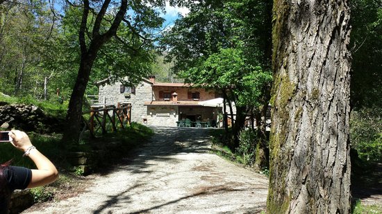 Montemezzano
