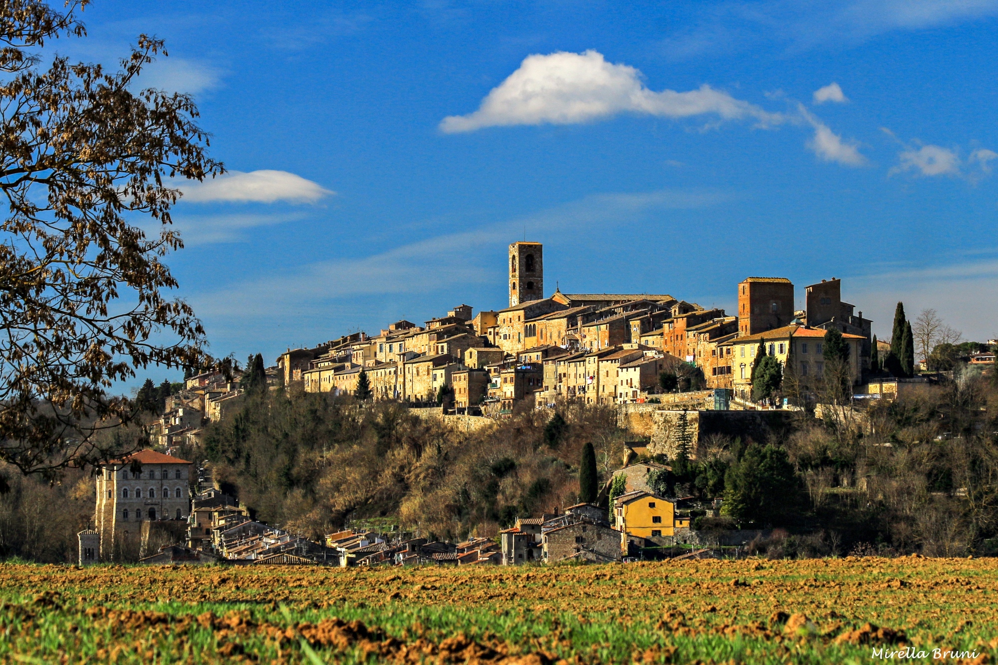 Chianti Cooking