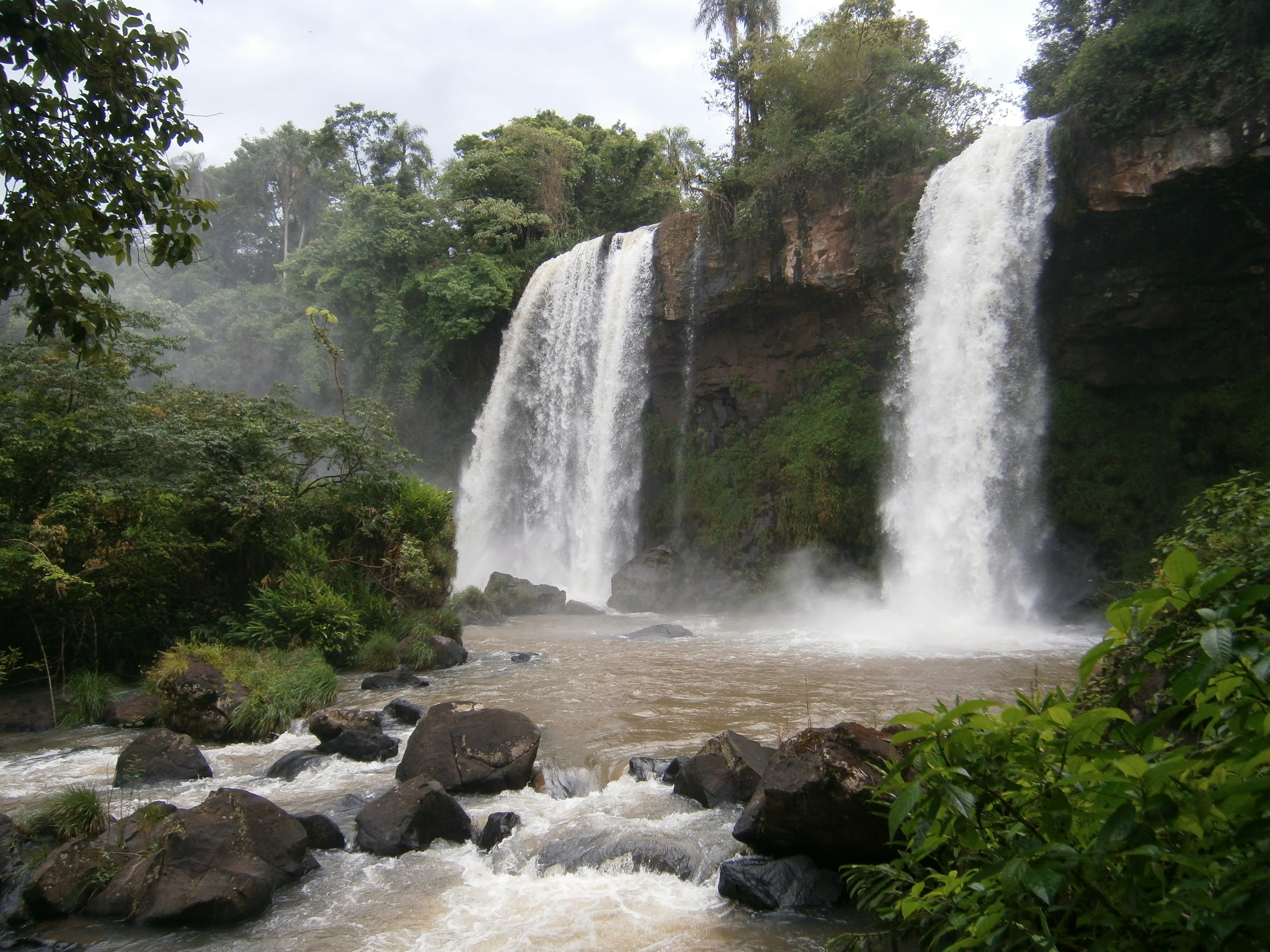 Jungle Falls