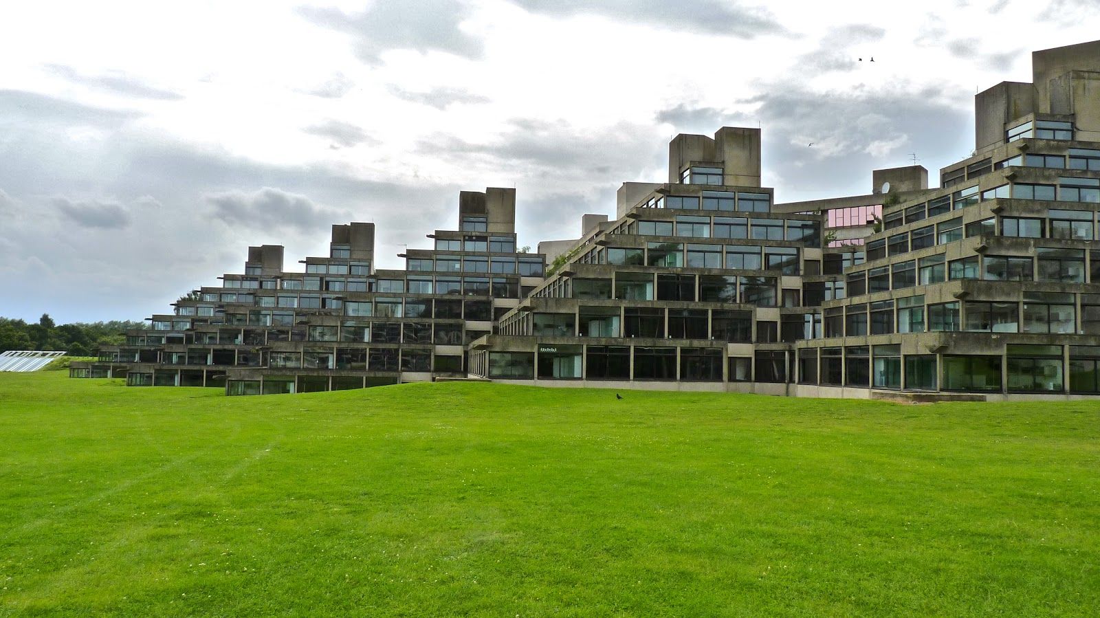 University of East Anglia