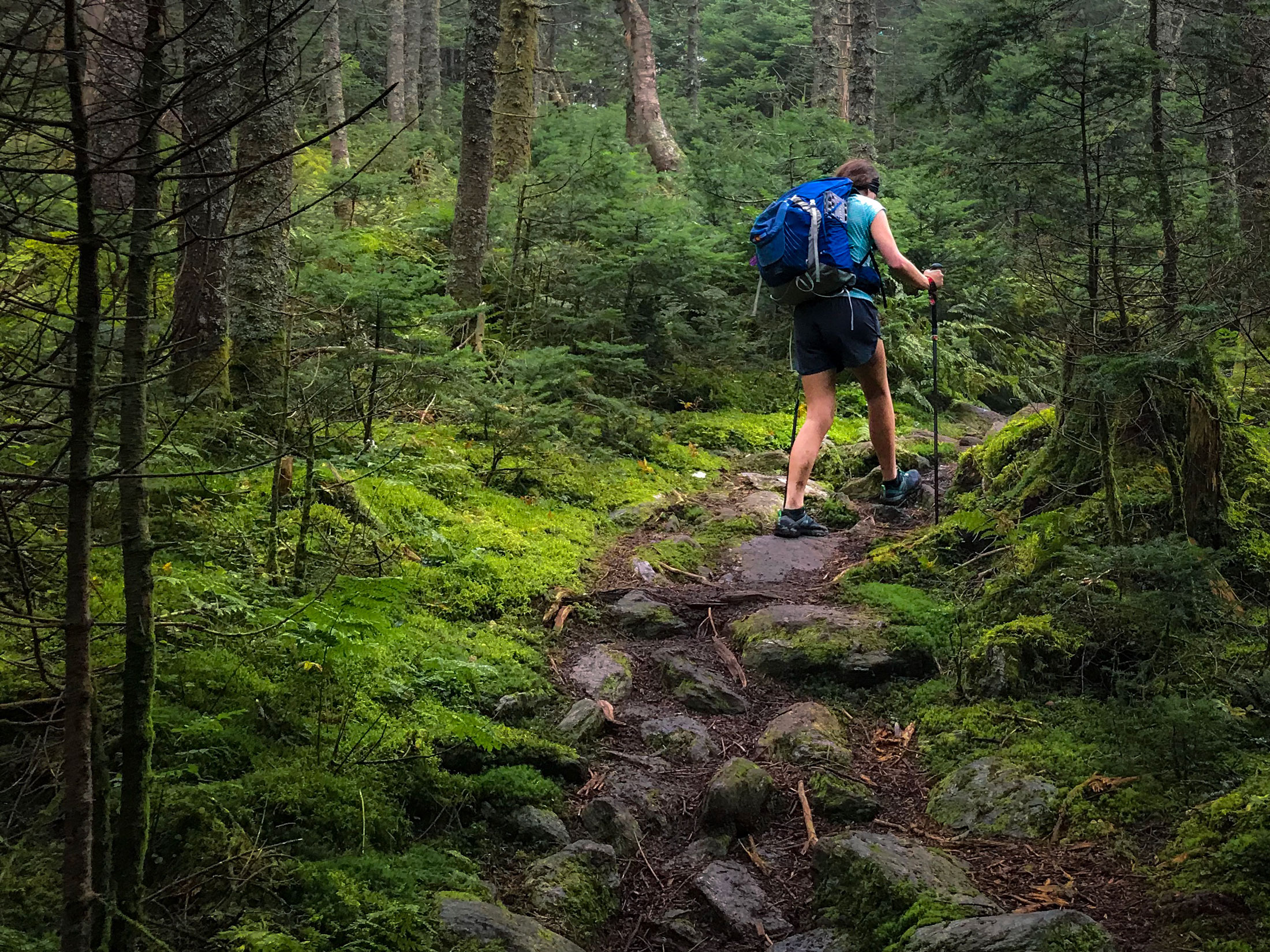 Hueilong Trail