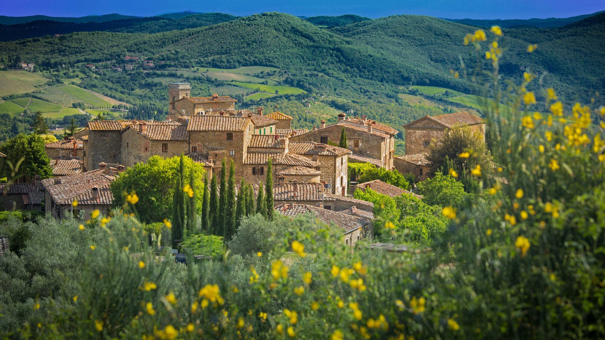 Volpaia