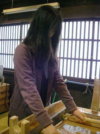 Gokayama Washi
