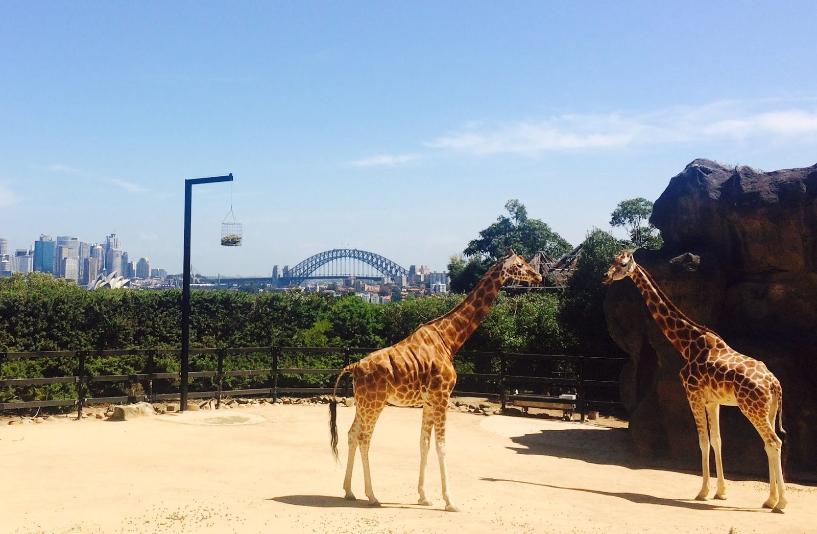 Australia Zoo