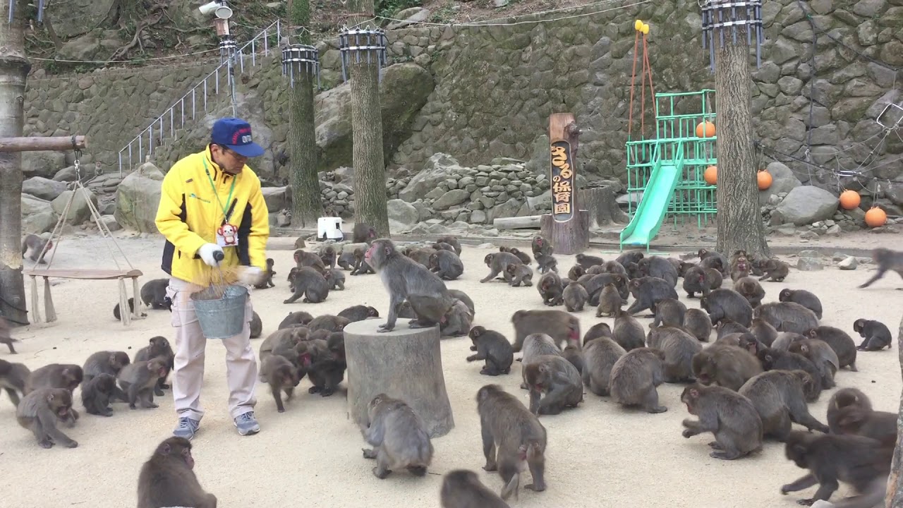 Takasakiyama Natural Zoo