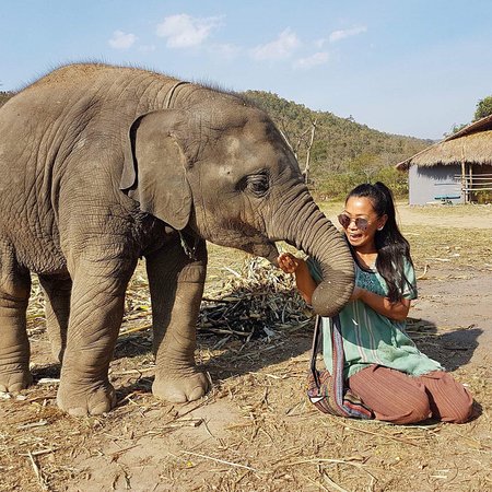 Maeklang Elephant Conservation Community