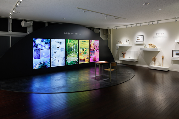 Museum of Natural and Environmental History, Shizuoka
