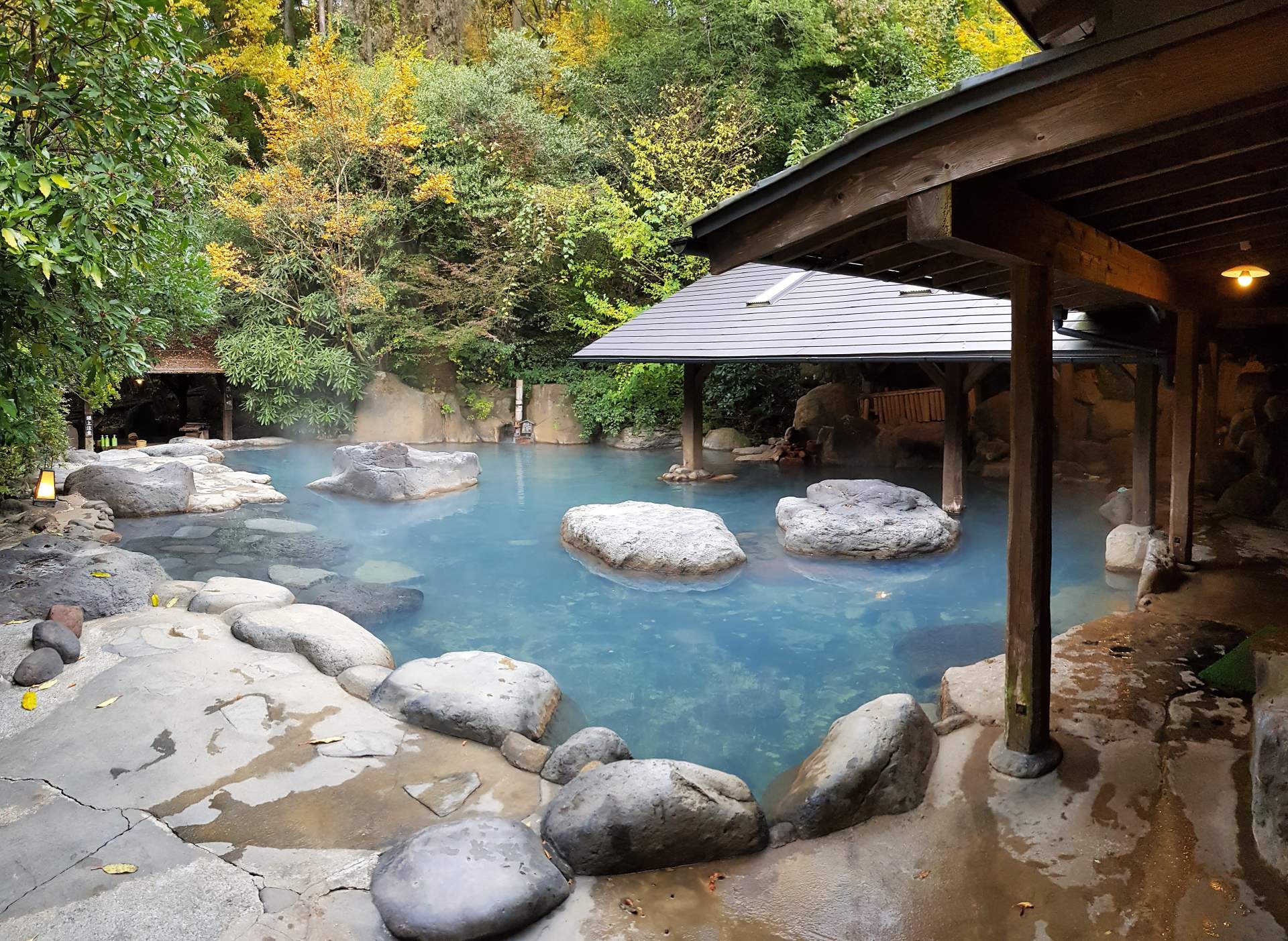 Natural Onsen Yunohana