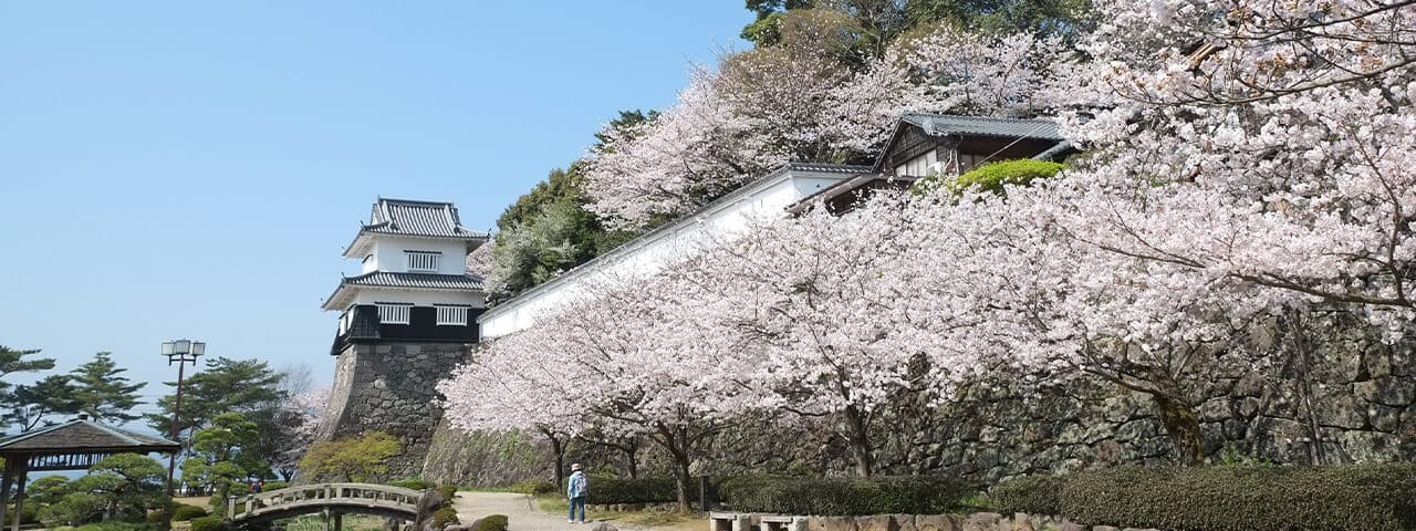 Torikabuto Nature School