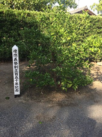 Yukichi Fukuzawa Memorial Museum