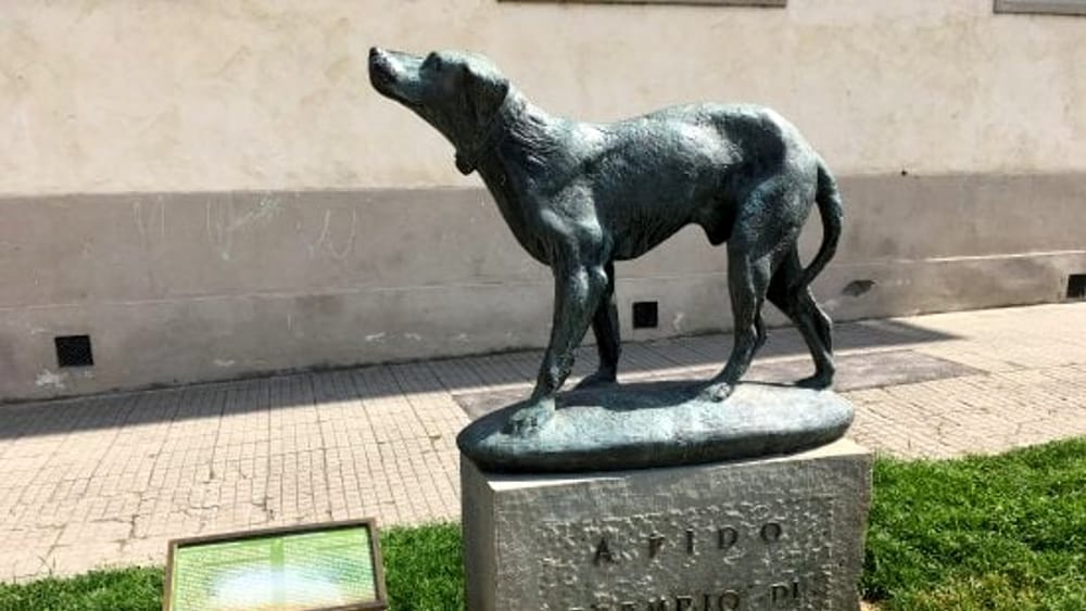 Monumento Al Cane Fido