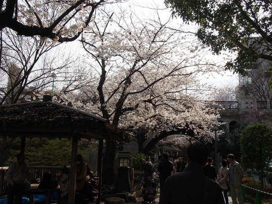 Yanagida Park