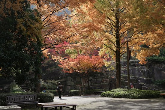 Hiroshima City Forestry Park