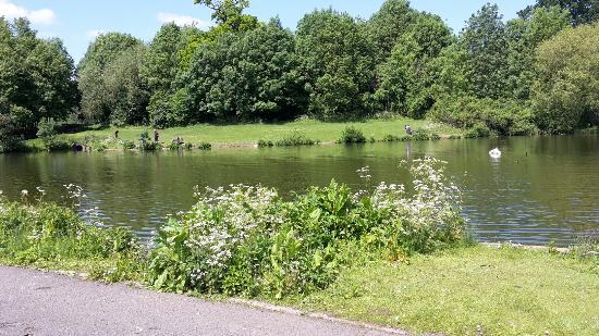 Watermead Park