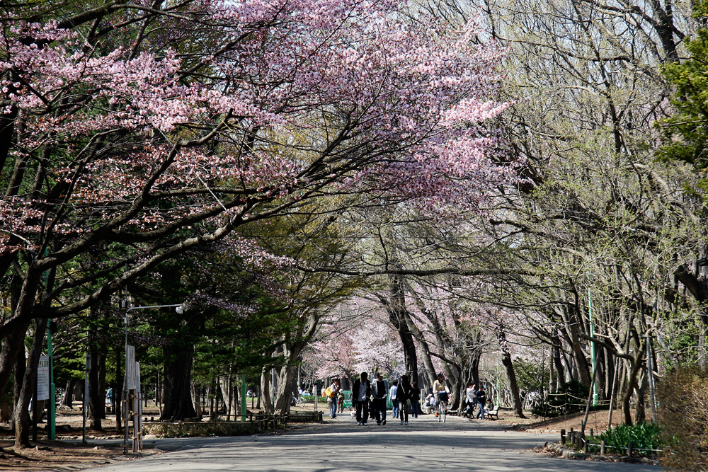 Maruyama Park