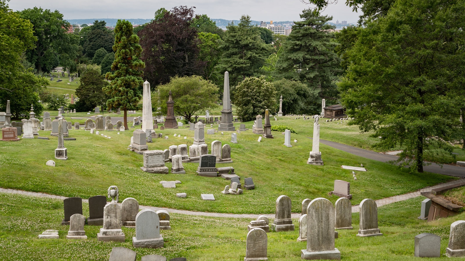 Sokei Cemetery Park