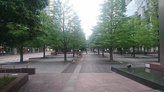 Shiono Park