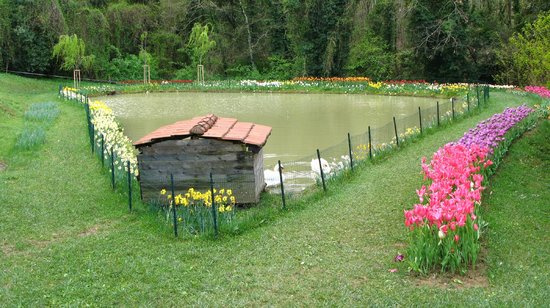 Outdoor Pictures 1