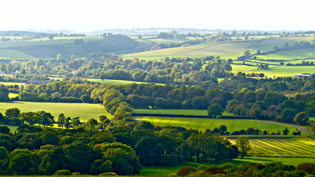 Old Winchester Hill