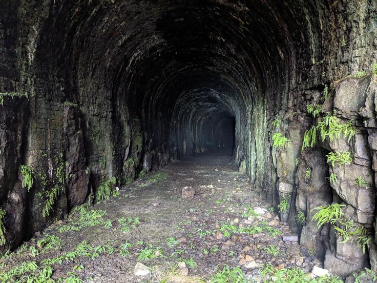 Mystery Tunnel