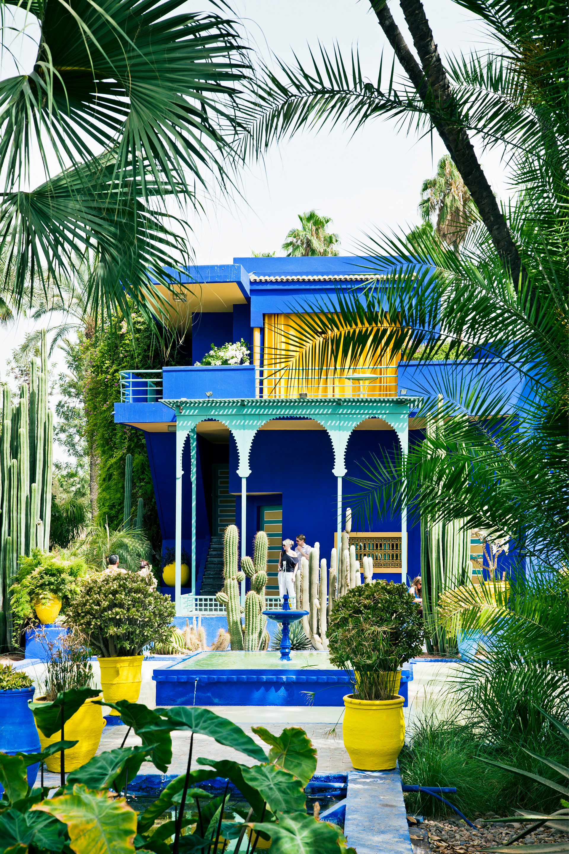 Fresque Jardin Majorelle