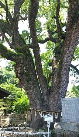 Ushitora Shrine