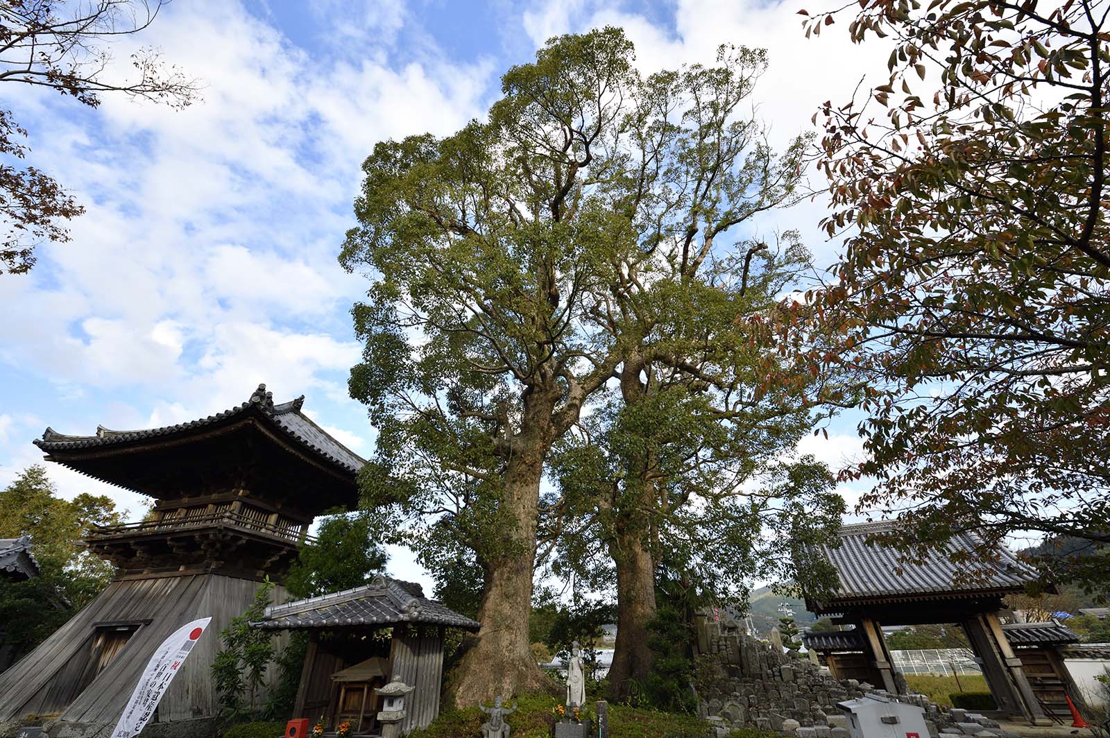 Kochosenji Temple