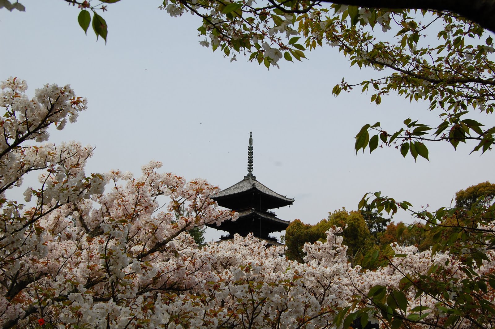 Sotoku-ji Temple