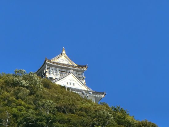 Gifu Gokoku Shrine