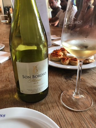 Finca Son Bordils