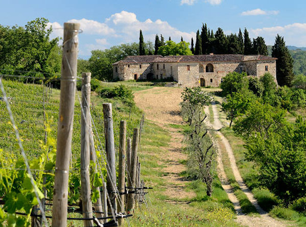 Felsina