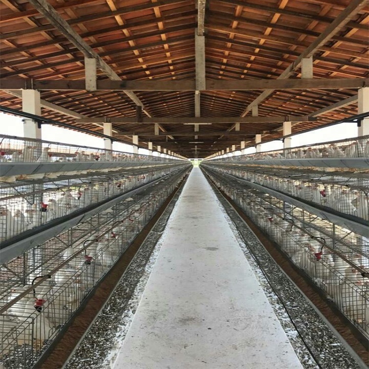 Zukeran Poultry Farm Minimini Zoo