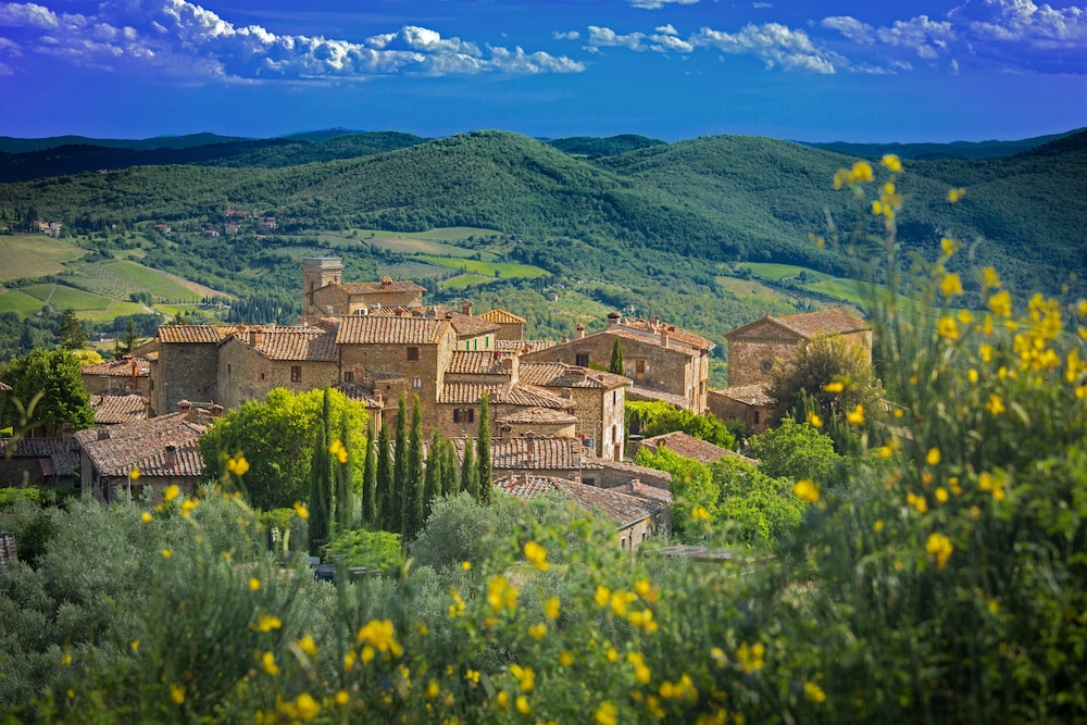 Castello di Radda