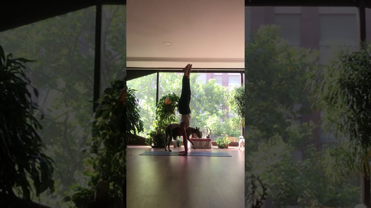 Jivamukti Yoga Barcelona