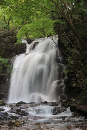 Asama Otaki Fall