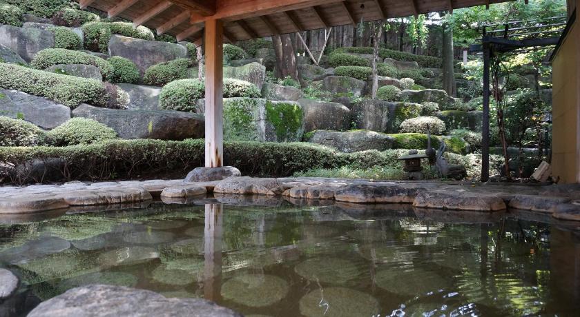 Minakuchi Onsen Tsubaki no Yu