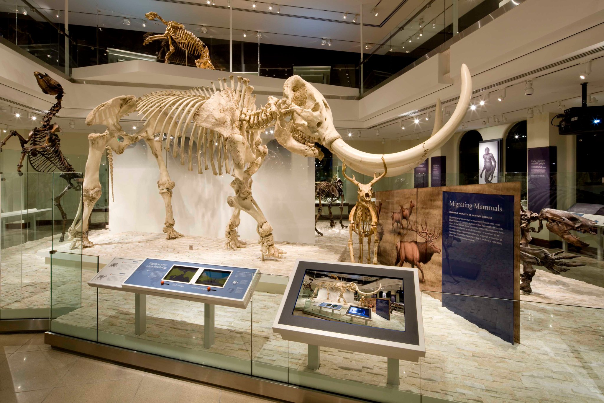 Museum of Urushi