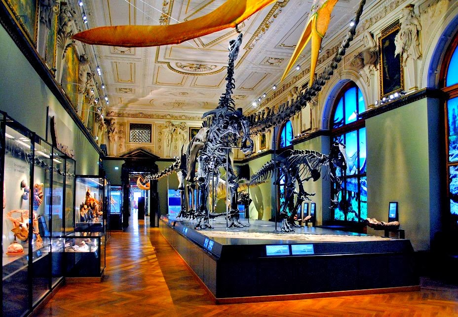 The Cater Museum