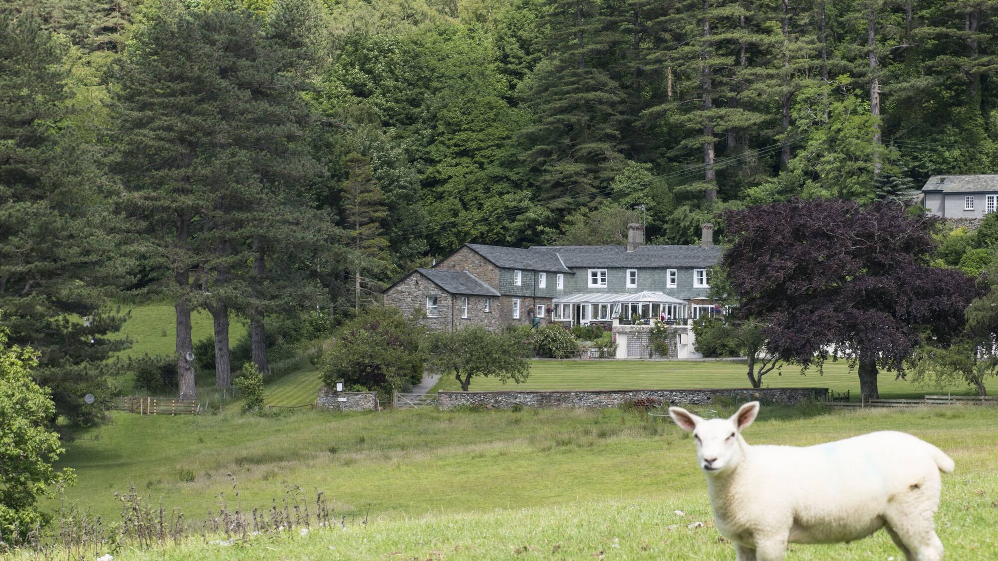 Newlands Adventure Centre