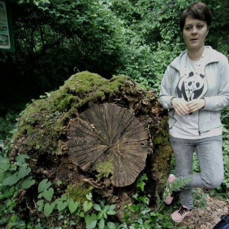 Oasi WWF Bosco di Zivido