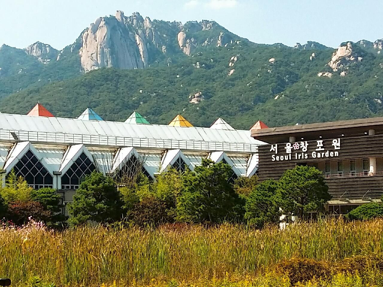 Seoul Iris Garden